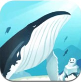 海洋動(dòng)物世界