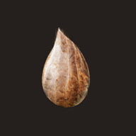 Mitoza手游