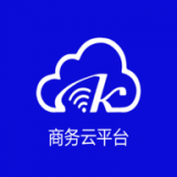 數(shù)智商務(wù)