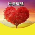 ks壁紙