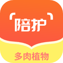 多肉植物陪護(hù)記