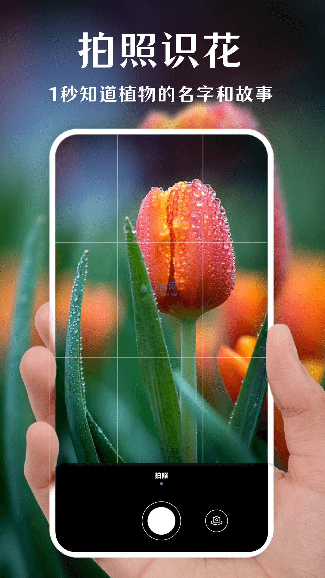 一键拍照识花app功能● 拍照识别:一键拍照,只需数秒,即可完成植物
