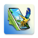 3D Wallpapers