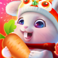 前兔似锦游戏
