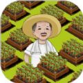 有块菜地游戏