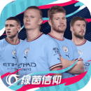 绿茵信仰图标