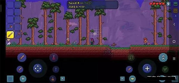 泰拉瑞亚1.4.4.9全物品版