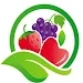 水果答题大冒险Fruit Quiz
