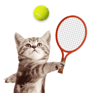 Meow猫网球大战CatMeow Tennis