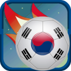 真实韩国足球SouthKorea SoccerPro