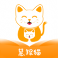 慧探貓官網(wǎng)版