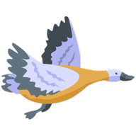 鸭子跳(Duck Jump)
