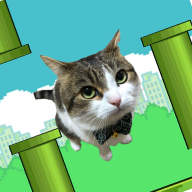 飞扬的猫模因(Flappy Cat Meme)