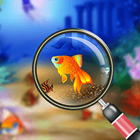 隱藏的魚(Find it out - hidden fish)