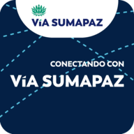 连接(VideojuegoViaSumaPaz)