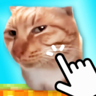 我所有的小猫(All My Fellas Cat)
