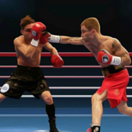 Zoombit摔跤拳击(Zoombit Wrestling Punch Boxing)