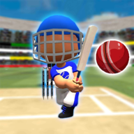 一起玩板球比賽(Play Cricket Games Together)