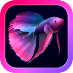 水族馆模拟器游戏(Bettarium)