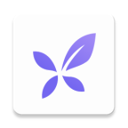 丁香医生app