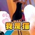 貓咪風(fēng)云正式版圖標(biāo)