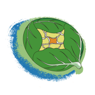 黔菜網(wǎng)app