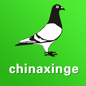 中国信鸽信息网app