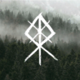維京崛起(viking rise)