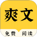 爽文小說閱讀器