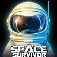 Space Survivor