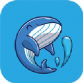 貝多優(yōu)選