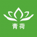 青荷健康app