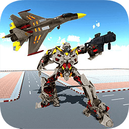 最?lèi)?ài)瘋狂戰(zhàn)機(jī)