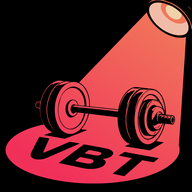 VBTgo软件