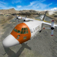 Police Airplane Prisoner Transport游戏