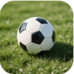 足球游戲