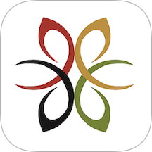 大美新平官網(wǎng)版