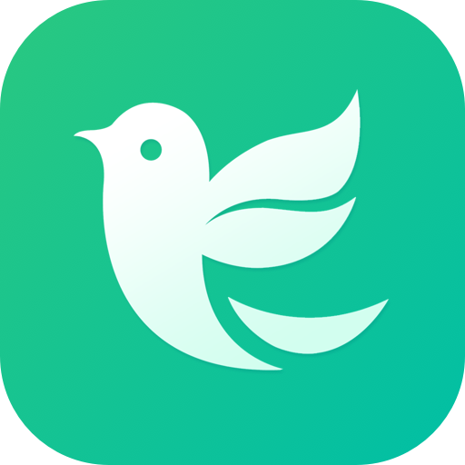 晨鴿樂園app