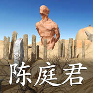 孫美琪疑案:陳庭君游戲