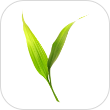 微博士家长端app