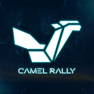 Camel Rally游戏