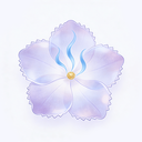 盈袖流量王app