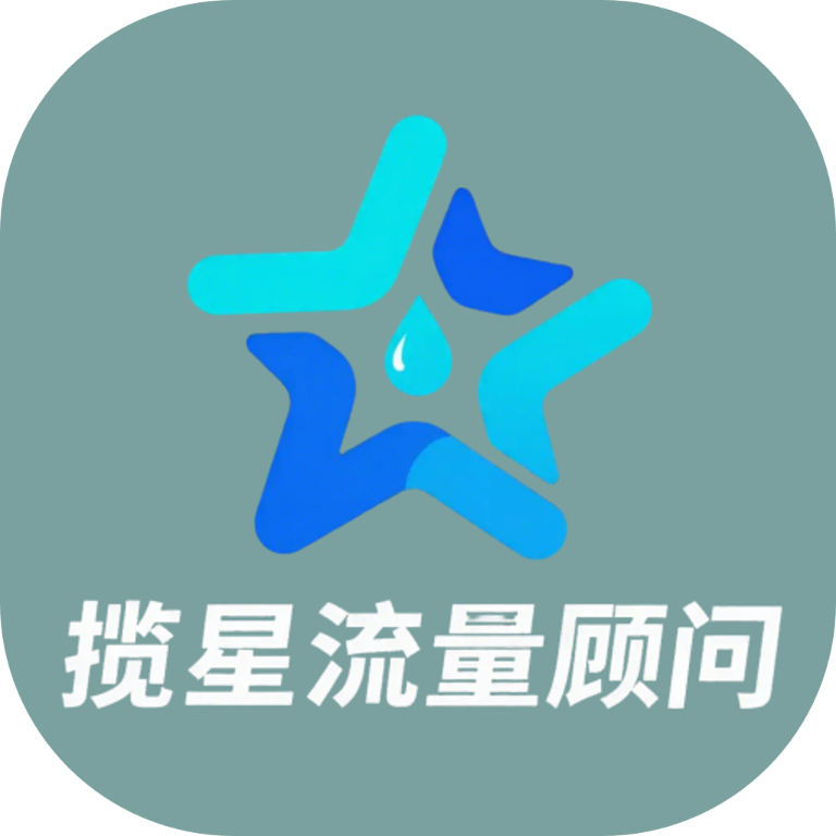 揽星流量顾问app