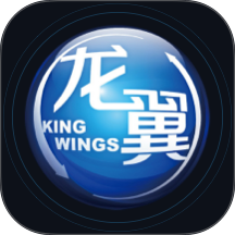 掌上龙翼app