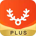古果朝阳PLUS软件