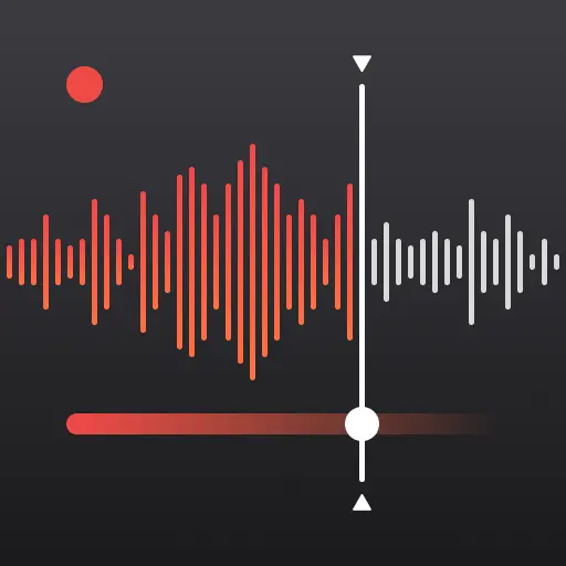 录音大师助手app