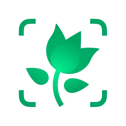 PictureThis app