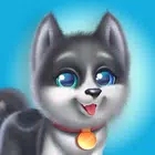 我的会说话的哈士奇My TalkingHusky