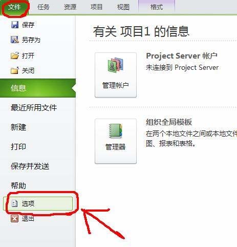 Project将工作日改成days的操作方法