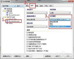 FTP乱码文件同步如何解决